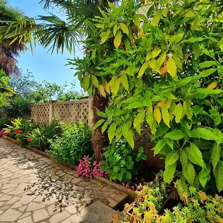 Guest house Ritosa Spadici Area